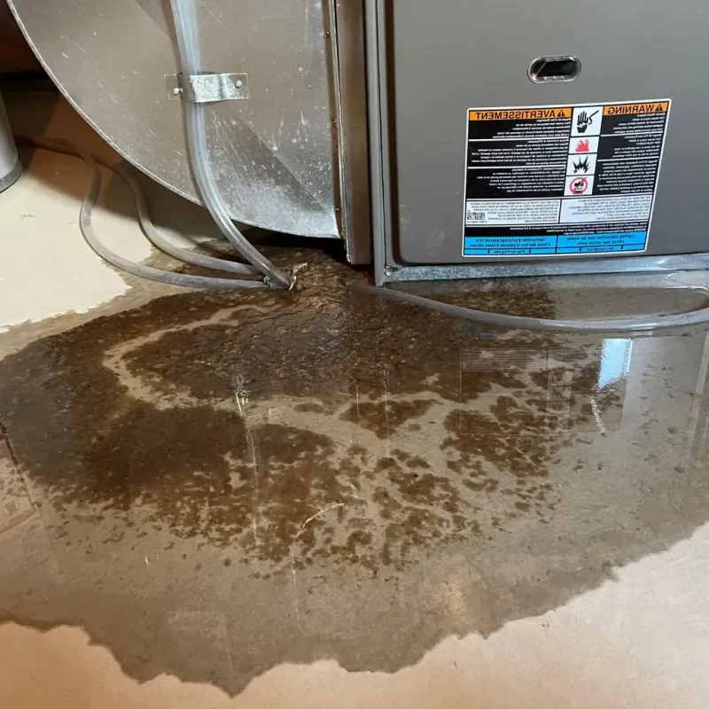Pipe Burst and Leak Restoration in Waynesboro, VA