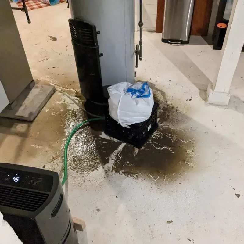 Sewage Backup Cleanup Service in Waynesboro, VA